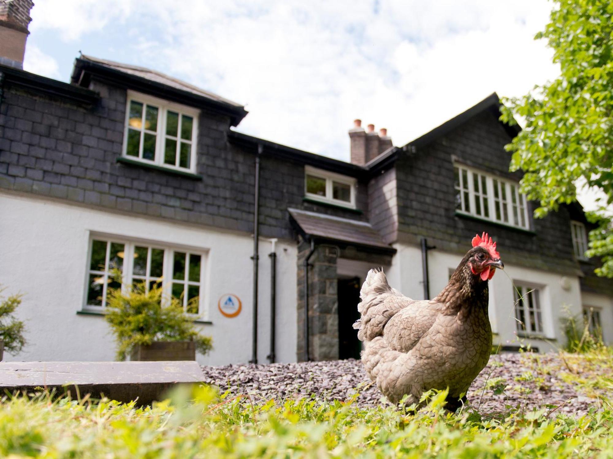 Yha Idwal Cottage Bethesda Extérieur photo
