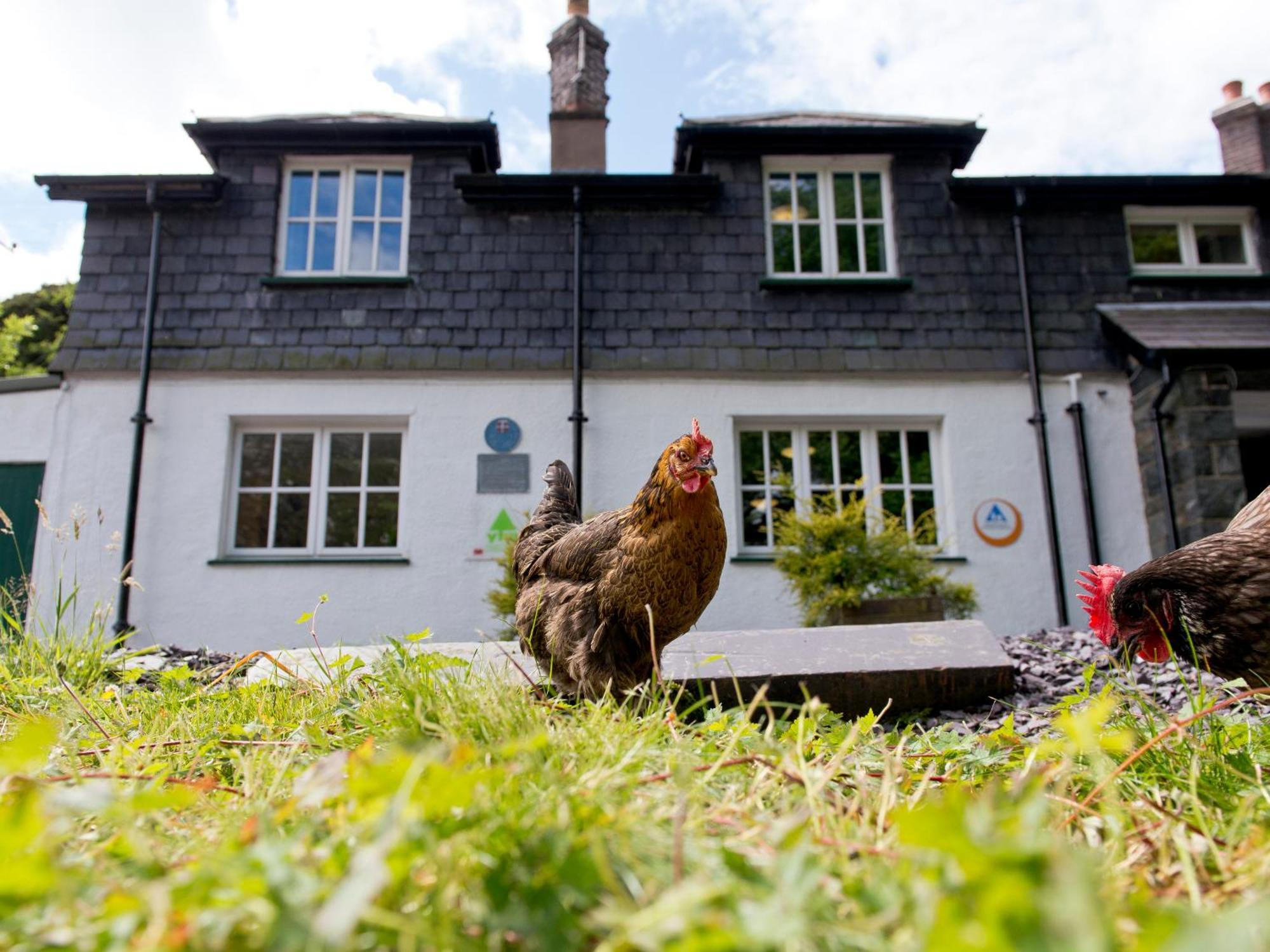 Yha Idwal Cottage Bethesda Extérieur photo